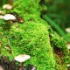 世界短道速滑大奖赛：裁判判罚引热议，世界短道速滑锦标赛的举办时间为多久一次