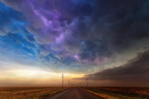 世界短跑线上训练成果展示：数据可视化吸引赞助关注，短跑世界比赛